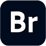 logo-bridge