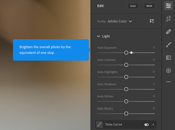 Adobe Lightroom Pro for Teams | ง่ายขึ้นอีก ด้วยระบบสอนการใช้งาน
