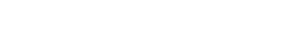 TeamViewer Website Logo White