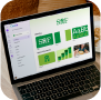 Canva training