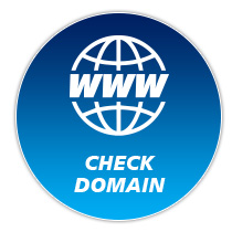 เช็คโดเมน (Check Domain)